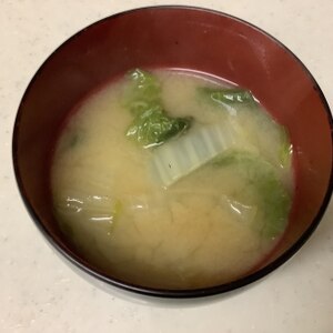 白菜のみそ汁